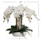 White Phalaenopsis Orchid Arrangement in 10" Round White Pot - Elegant Low Maintenance Floral Decor for Home and Office by Floral Home by Artificial Flowers